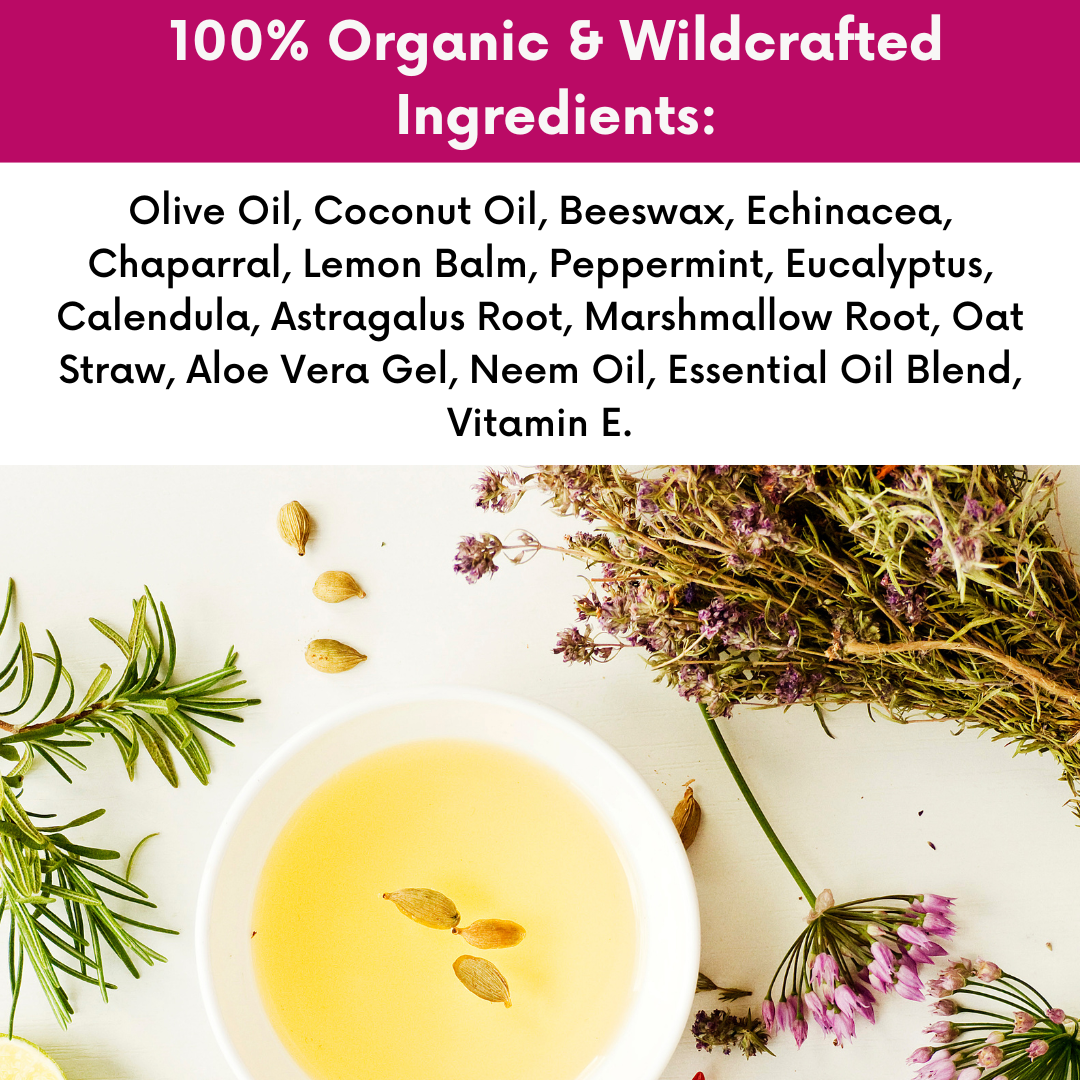 Dr. Cole's Organic Skin Repair Herbal Balm SixPak-3