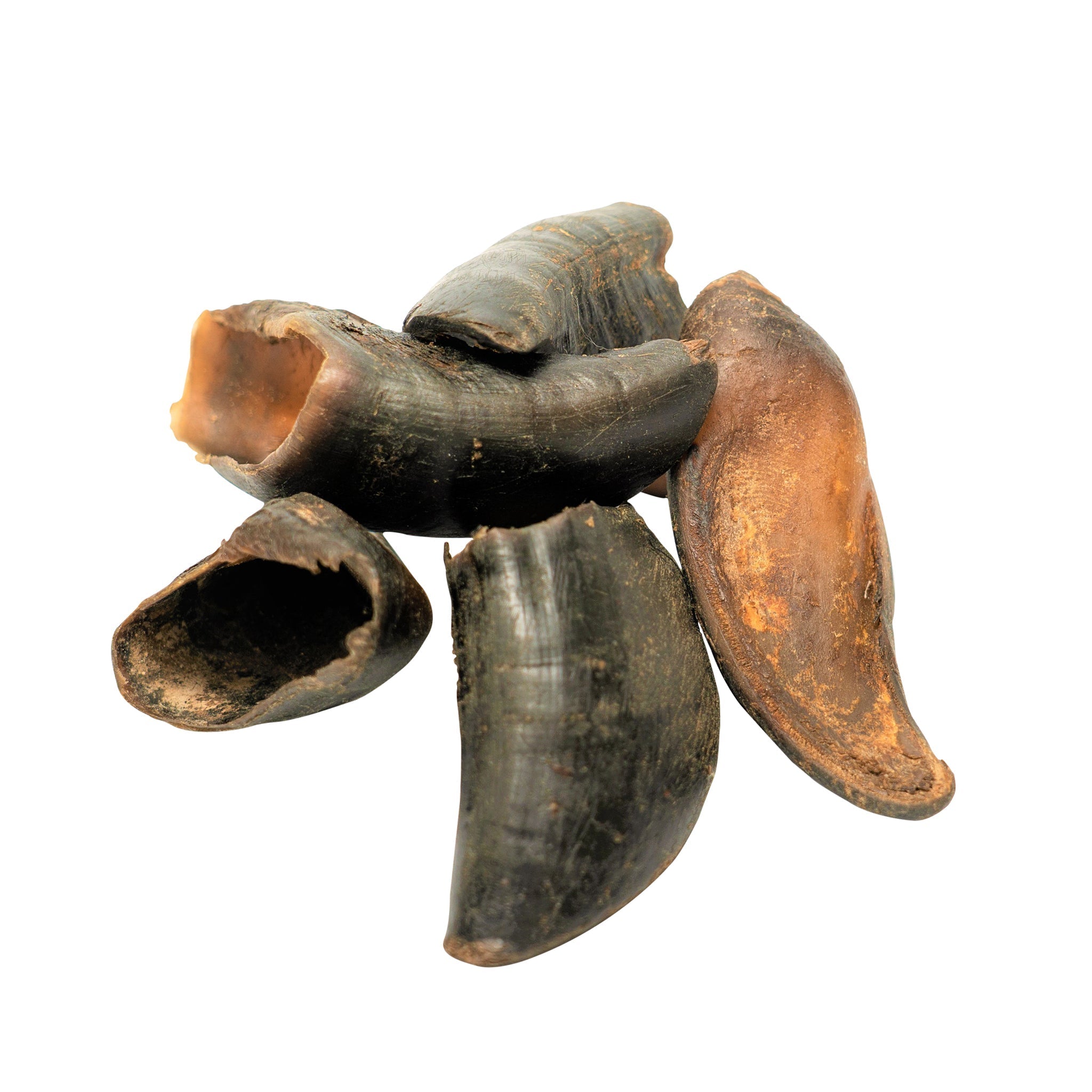 Four natural dark brown water buffalo hooves dog chews arranged together in a clear package — view 3