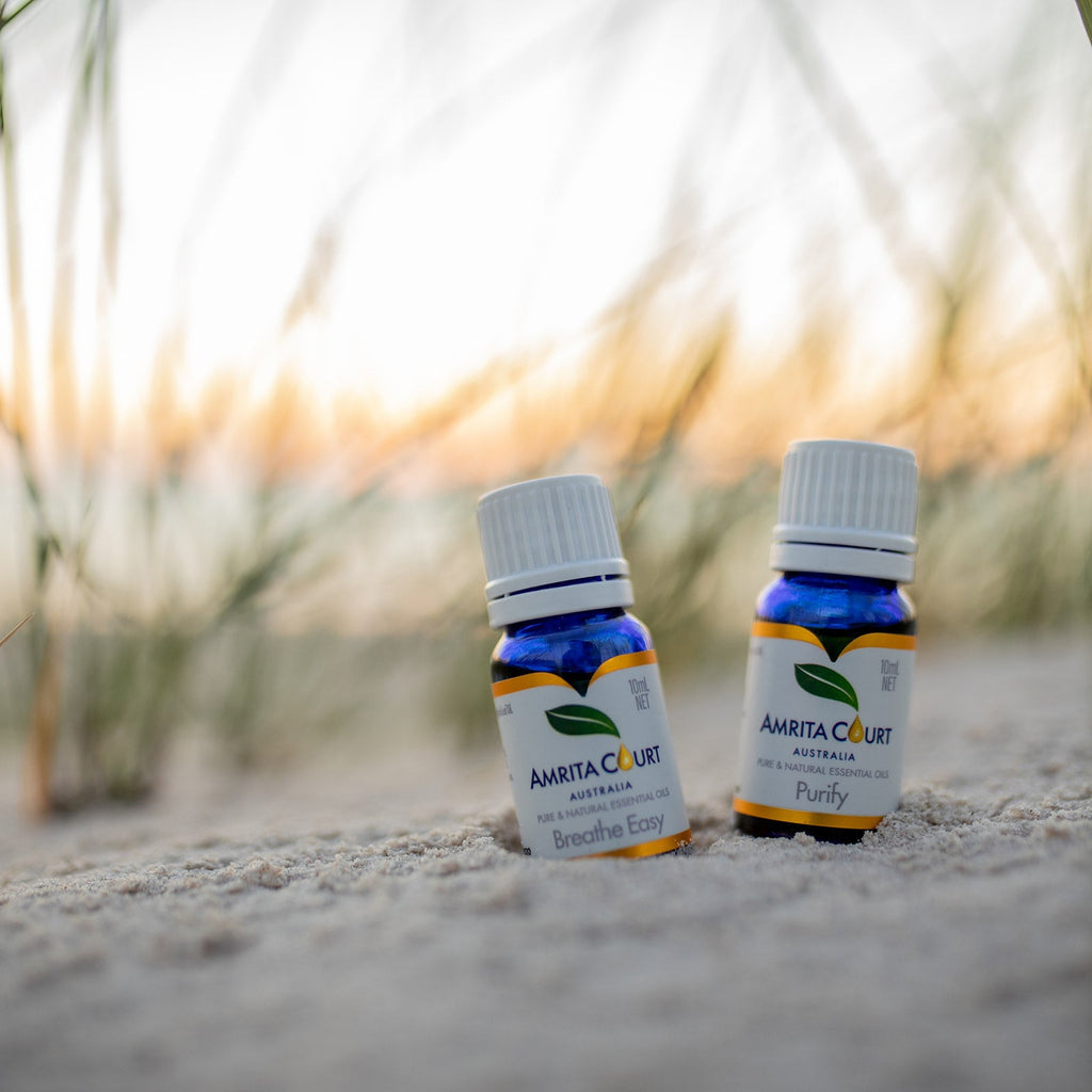 Two 10ml bottles of No Germ essential oil blends for air purifying and breathing support