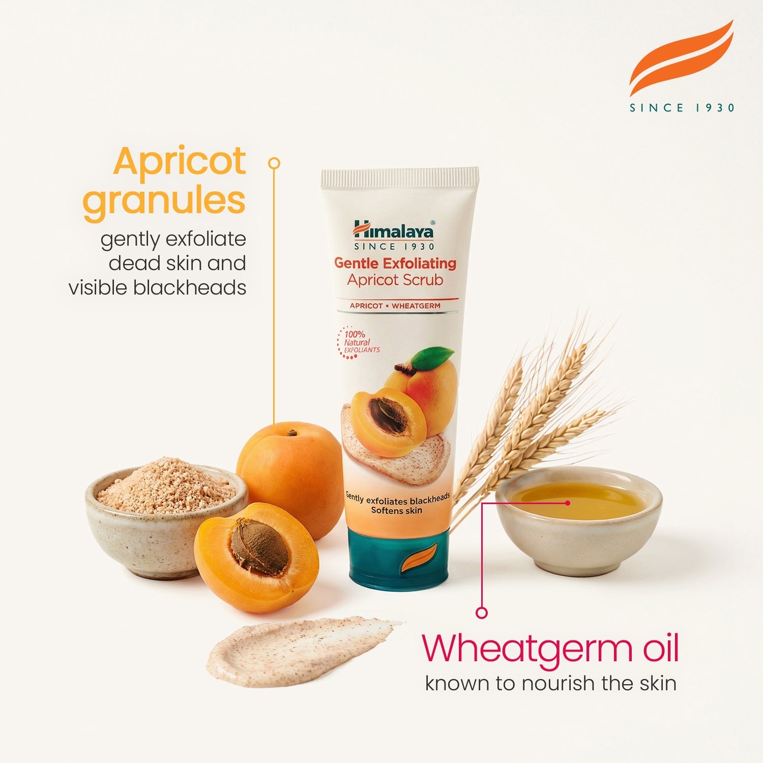 Himalaya gentle exfoliating apricot face scrub tube for deep cleansing and blackhead removal 75ml — view 3