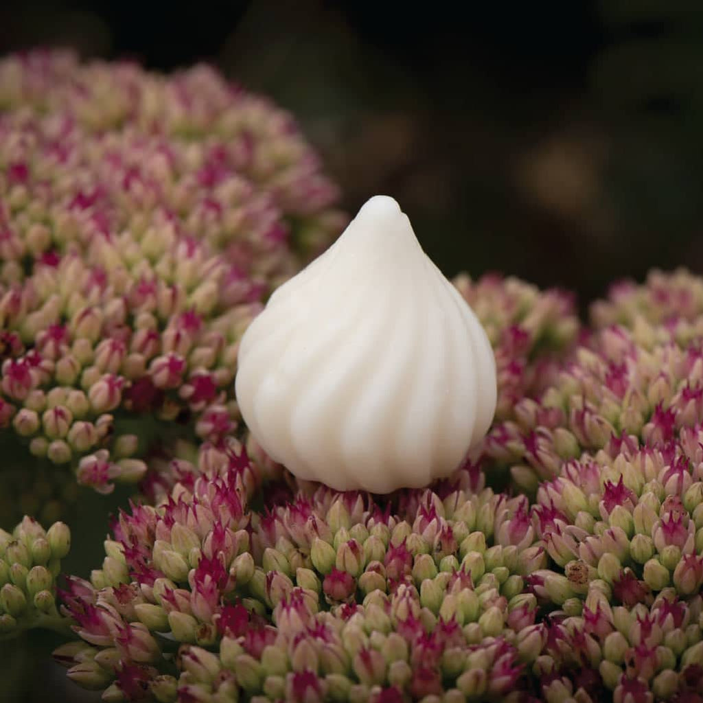 Artisanal scented wax melts in beautiful packaging for home fragrance wax warmers — view 5