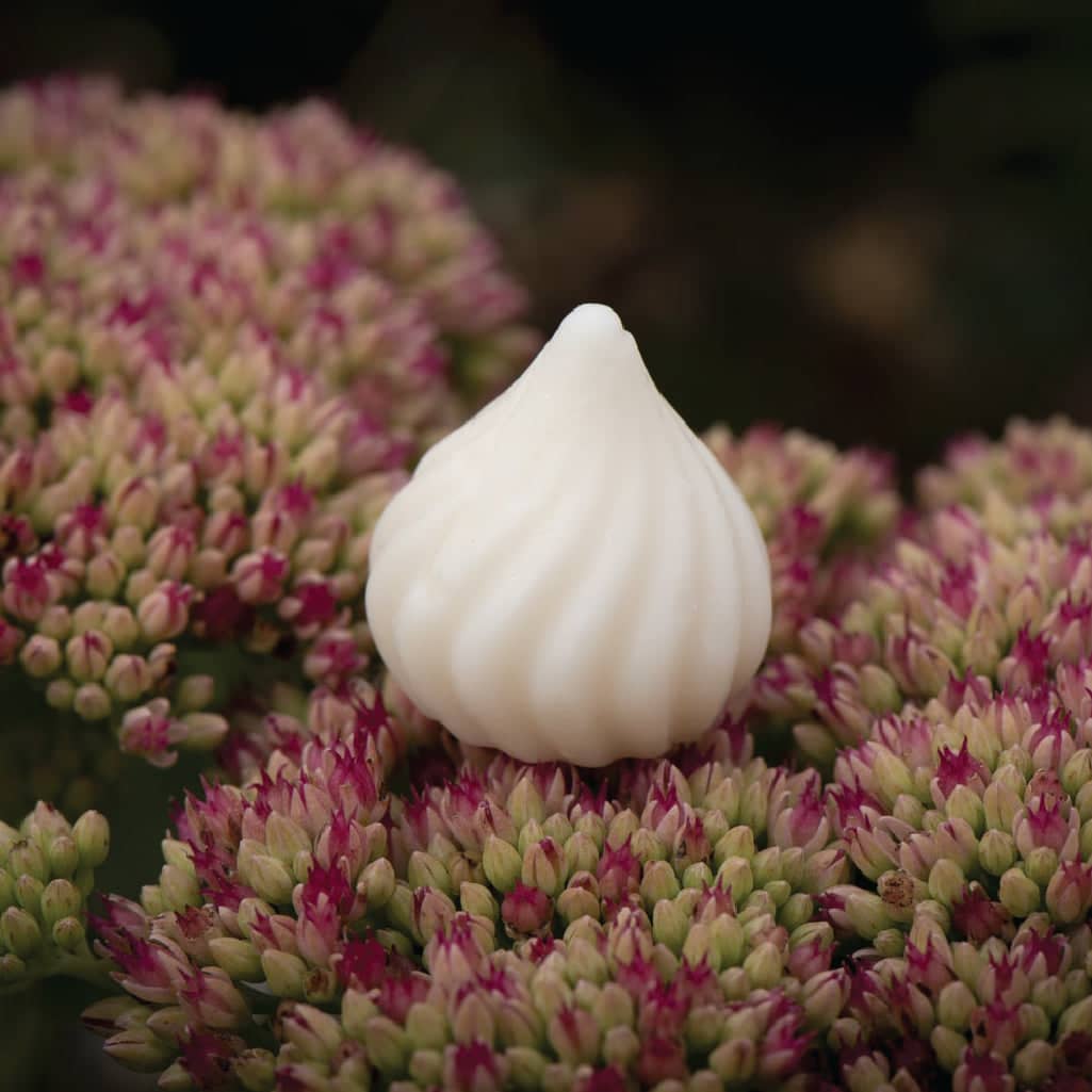 Artisanal scented wax melts in beautiful packaging for home fragrance wax warmers — view 5