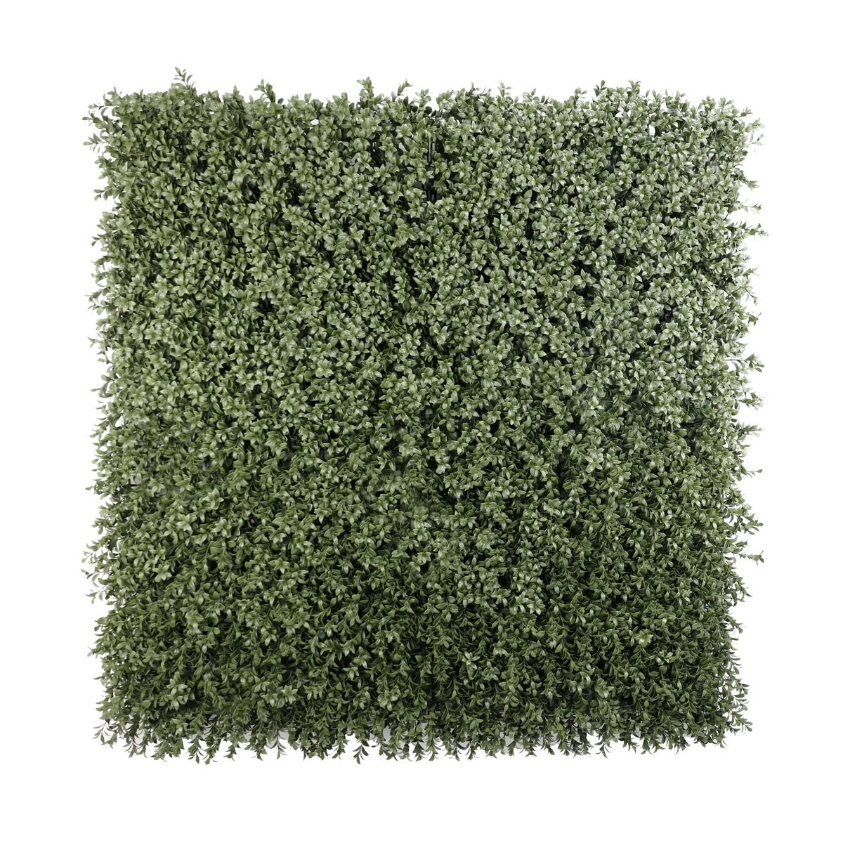 Dense Lush Boxwood Artificial Vertical Garden Green Wall Panel 40×40in 11 SQ FT – NFPA 701 Certified – UV Resistant – Commercial Grade-3