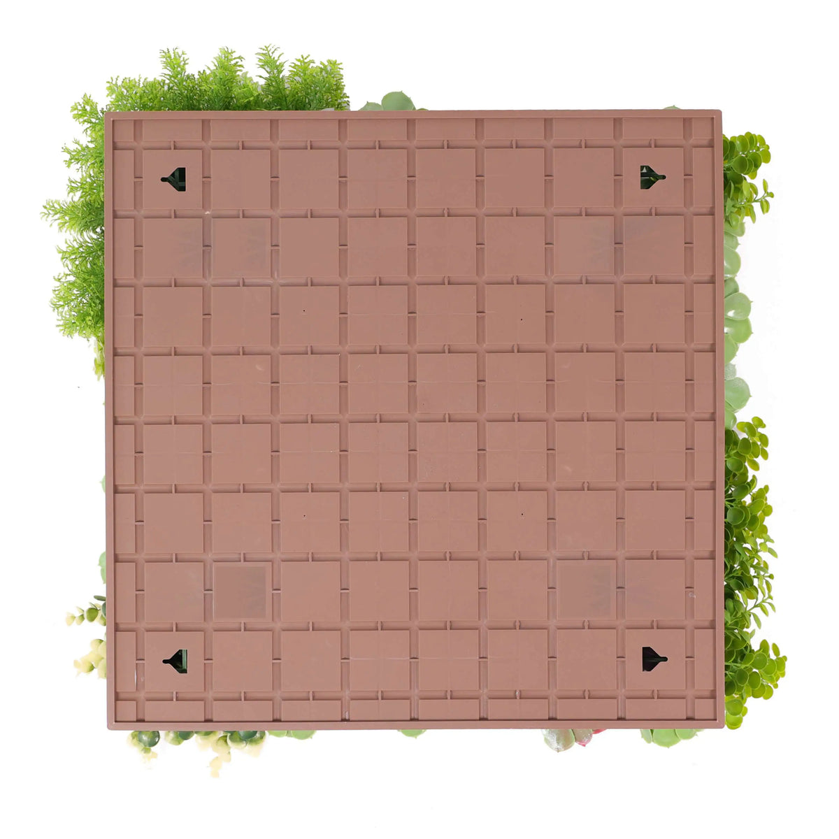 Artificial Moss and Succulent Hanging Wall Art Frame(Wall Art) 20in – UV Resistant-3