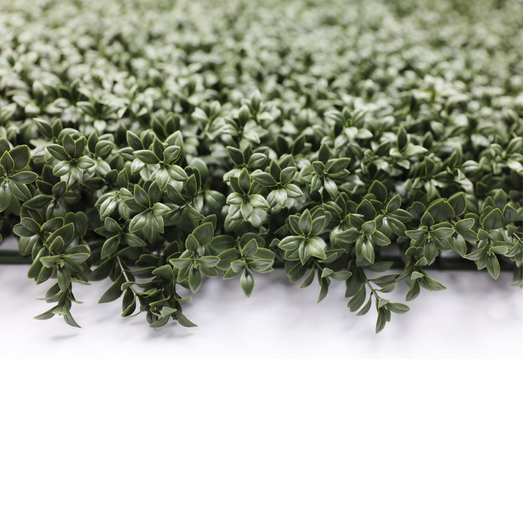 Dense Lush Boxwood Artificial Vertical Garden Green Wall Panel 40×40in 11 SQ FT – NFPA 701 Certified – UV Resistant – Commercial Grade-2