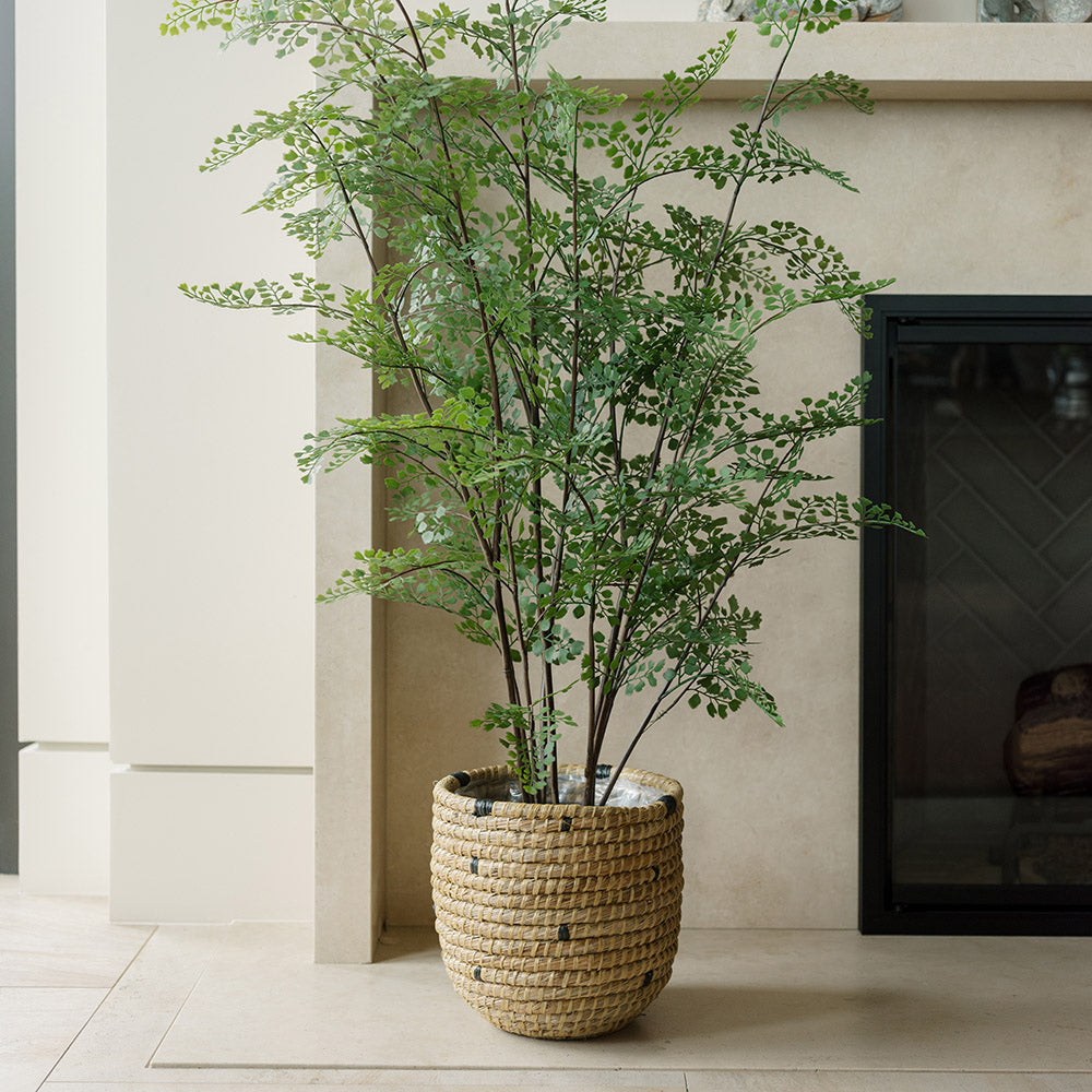 Faux Maidenhair Fern Plant, 48"-3