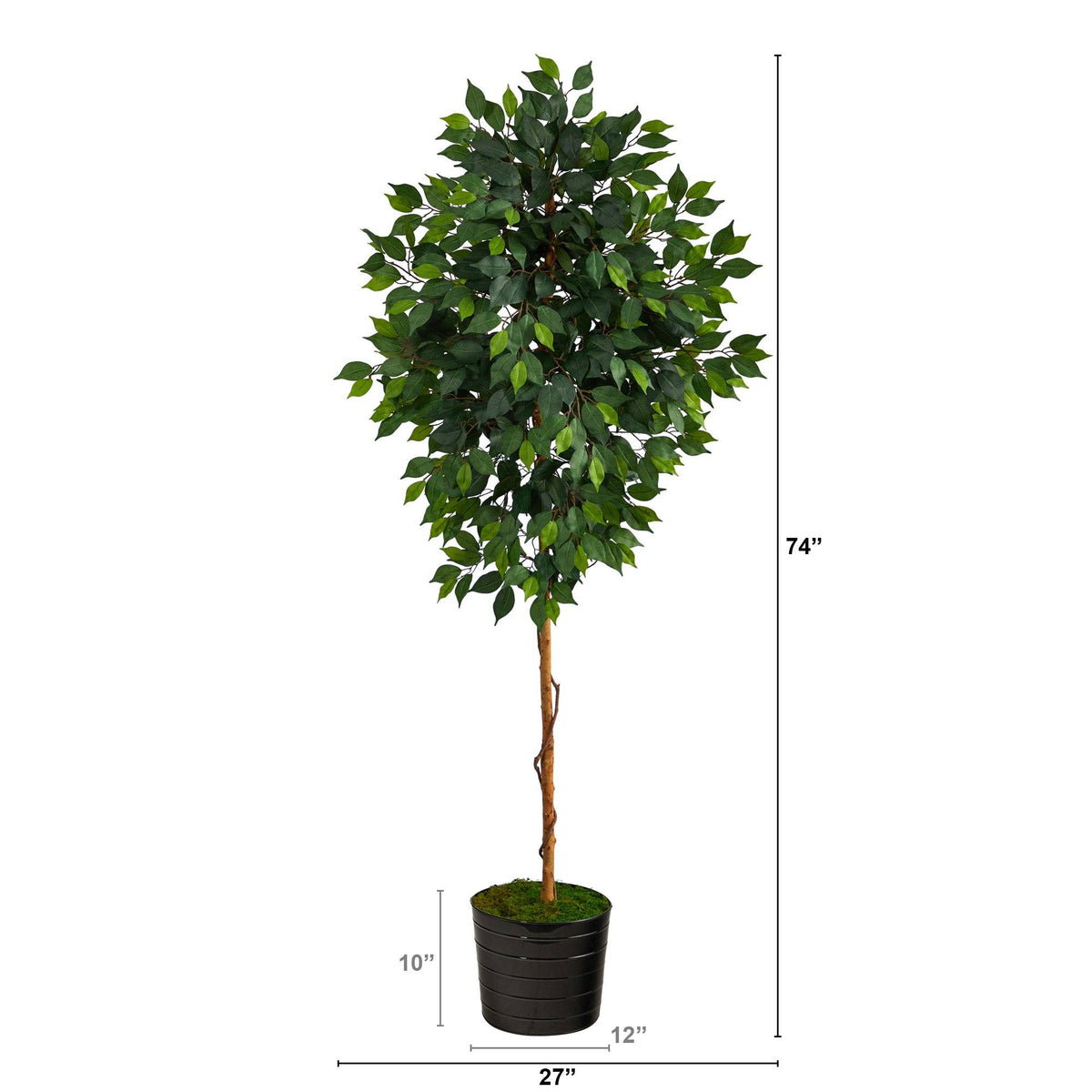 Faux Ficus Tree in Black Planter, 74”-1