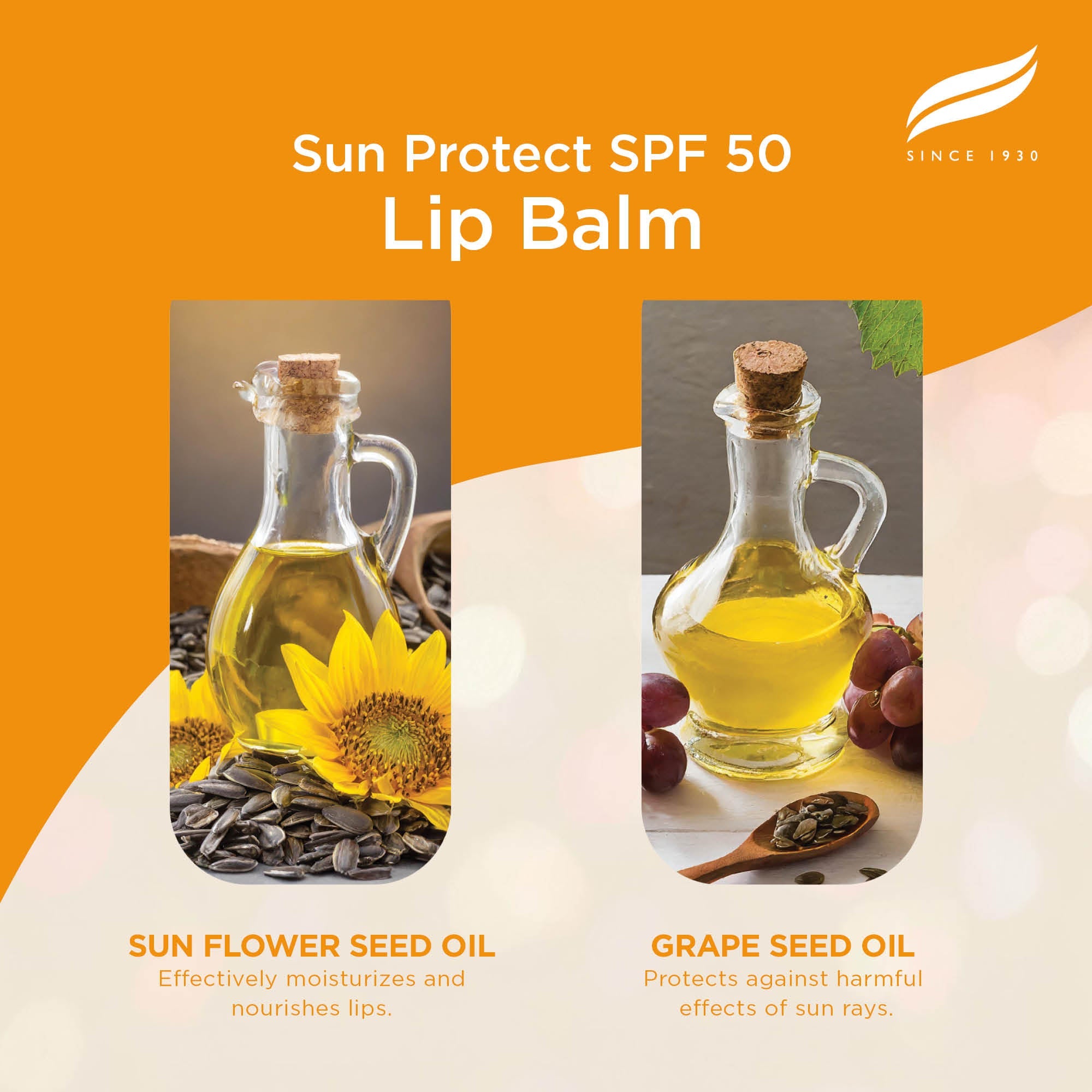 Himalaya Sun Protect Lip Balm SPF 50 stick with deeply moisturizing plant oils — view 4
