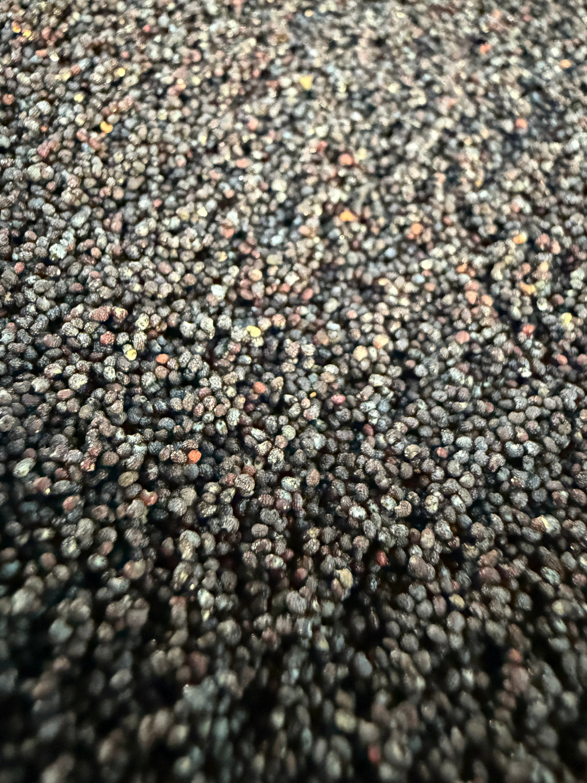 Ripkitty Premium Unwashed Untreated Unprocessed Organic Raw Papaver Somniferum Culinary Poppy Seeds-4
