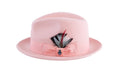 Ferrecci Brooks Trilby Soft 100% Australian Wool Felt Body with Removable Feather pink hat Great for Travel-0