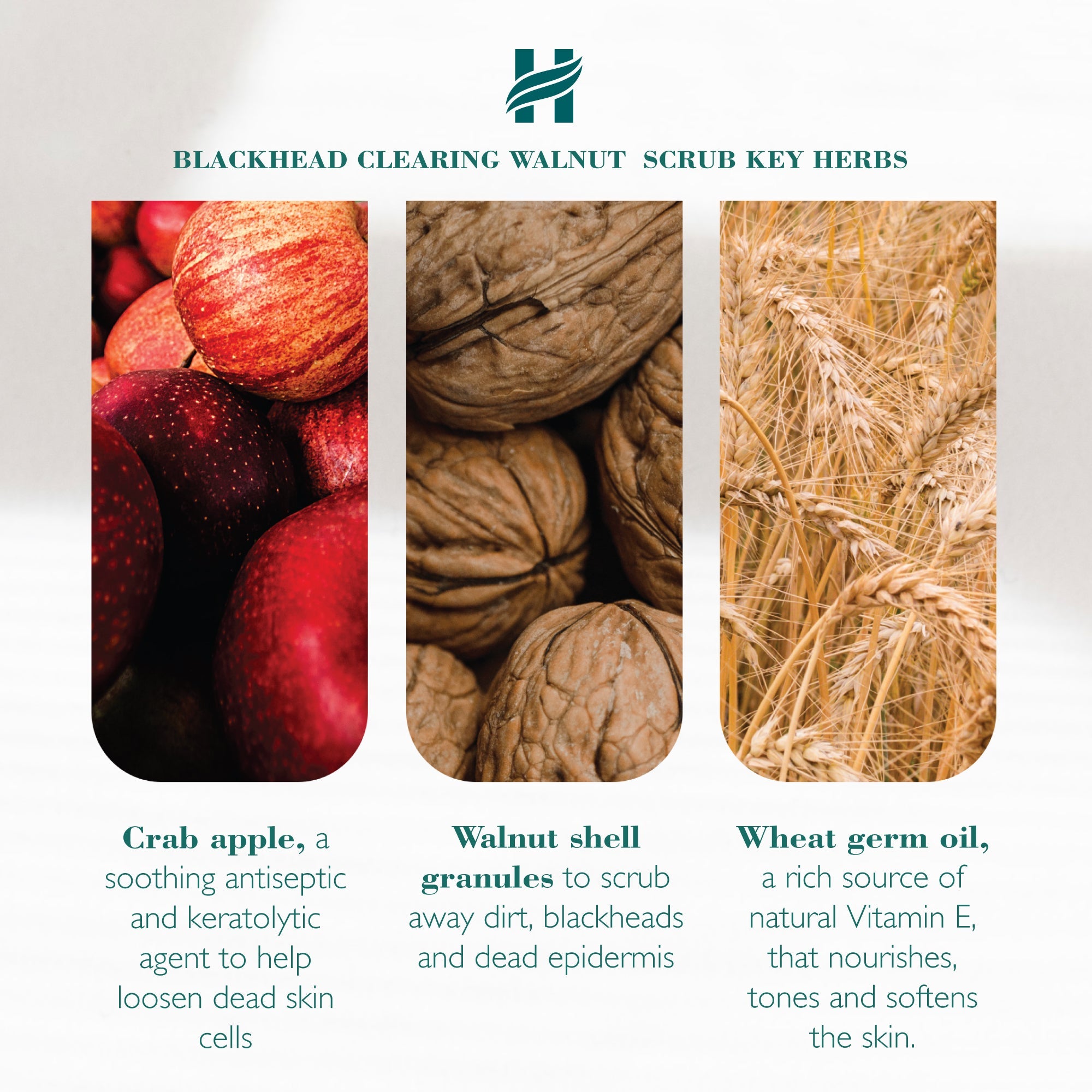 Himalaya blackhead clearing walnut face scrub in a 75ml squeeze tube with botanical ingredient graphics — view 4