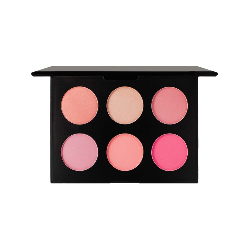 Six shade matte blush makeup palette in sleek packaging featuring natural and versatile powder colors — view 4