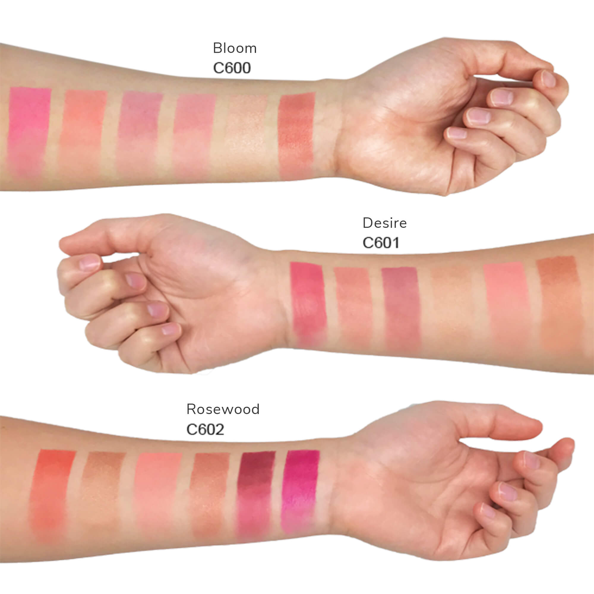 Six shade matte blush makeup palette in sleek packaging featuring natural and versatile powder colors — view 6