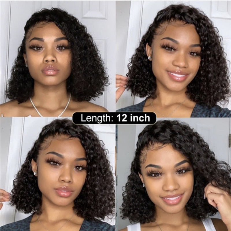 Braided synthetic lace front wig with medium long small curls and long bangs