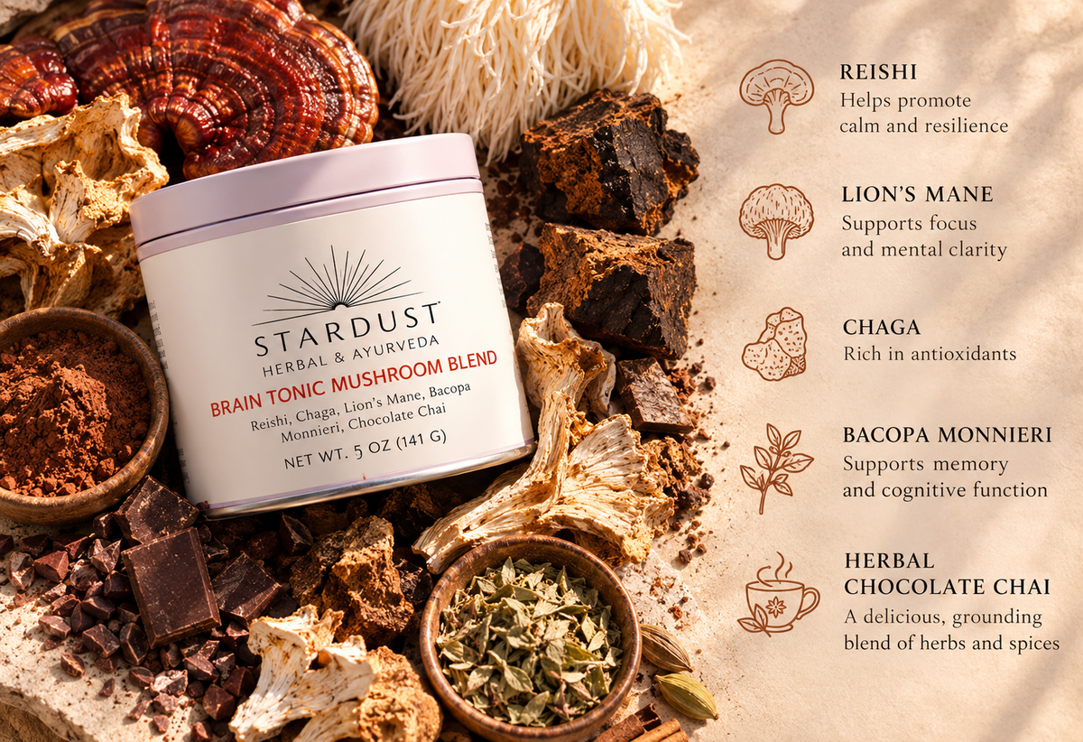 Brain Tonic Mushroom Blend-2