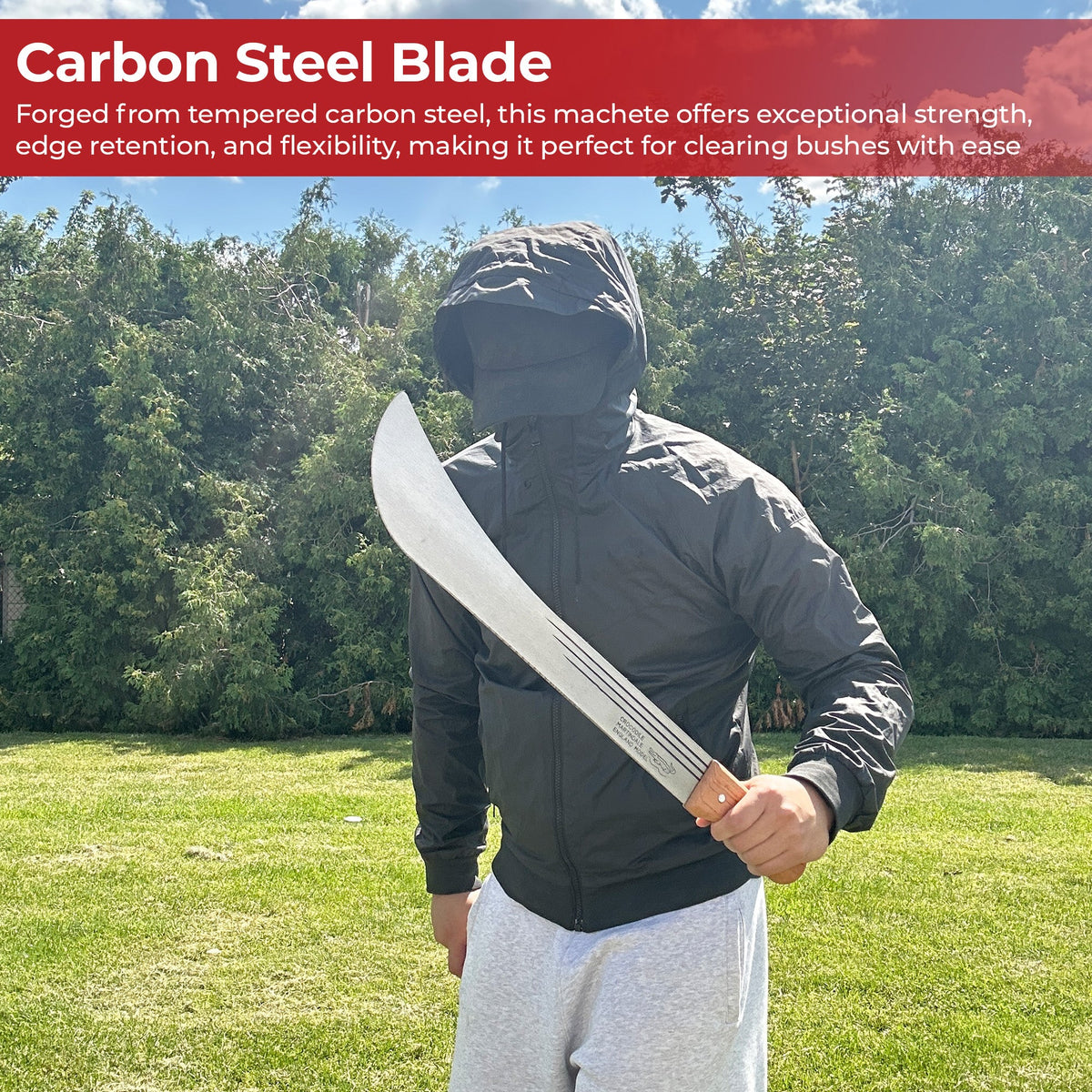 Caribbean Panga Machete-3
