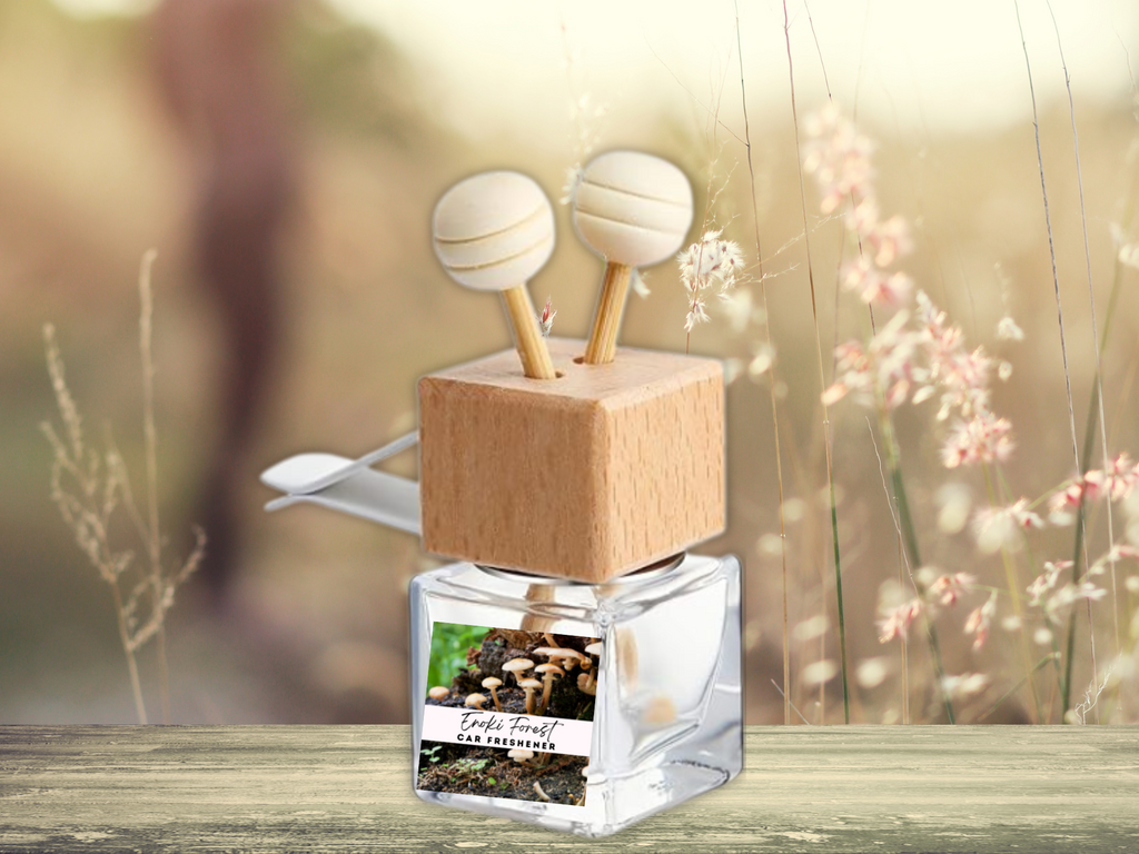 Bold masculine car vent diffuser glass bottle with wooden cap, vent clip, and fragrance diffuser sticks — view 3