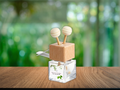 Bold masculine car vent diffuser glass bottle with wooden cap, vent clip, and fragrance diffuser sticks