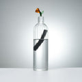 Carafe en verre Design + 1 Charbon de bambou français-0