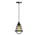 Industrial style metal birdcage pendant light hanging fixture with vintage Edison bulb and black cable