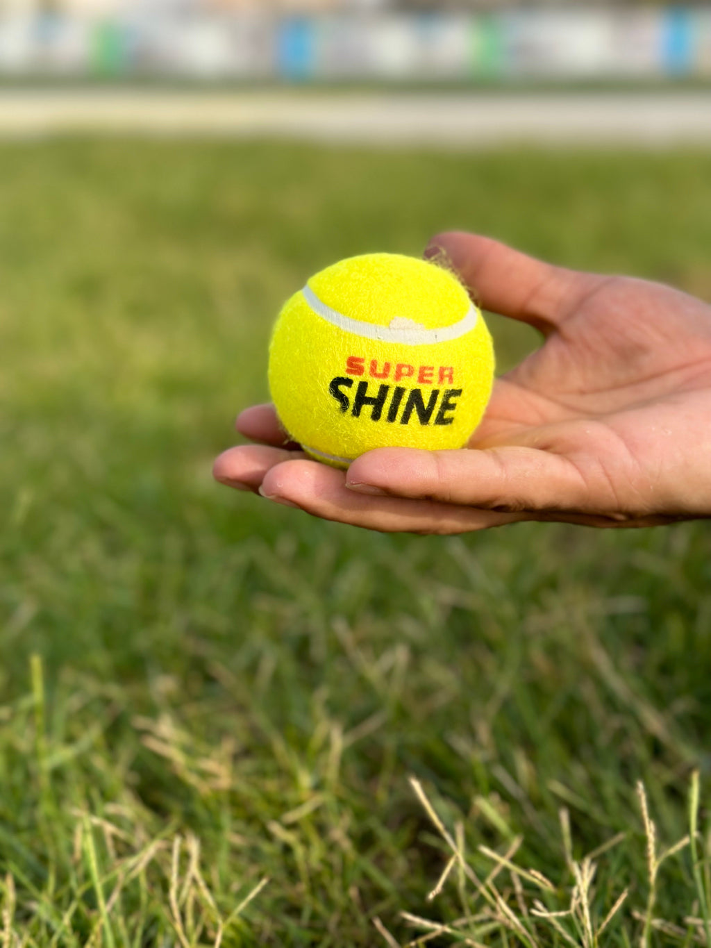 Super shine tennis cricket ball featuring a glossy exterior finish for professional sports practice