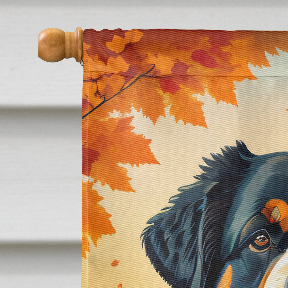 Bernese Mountain Dog Fall House Flag-2