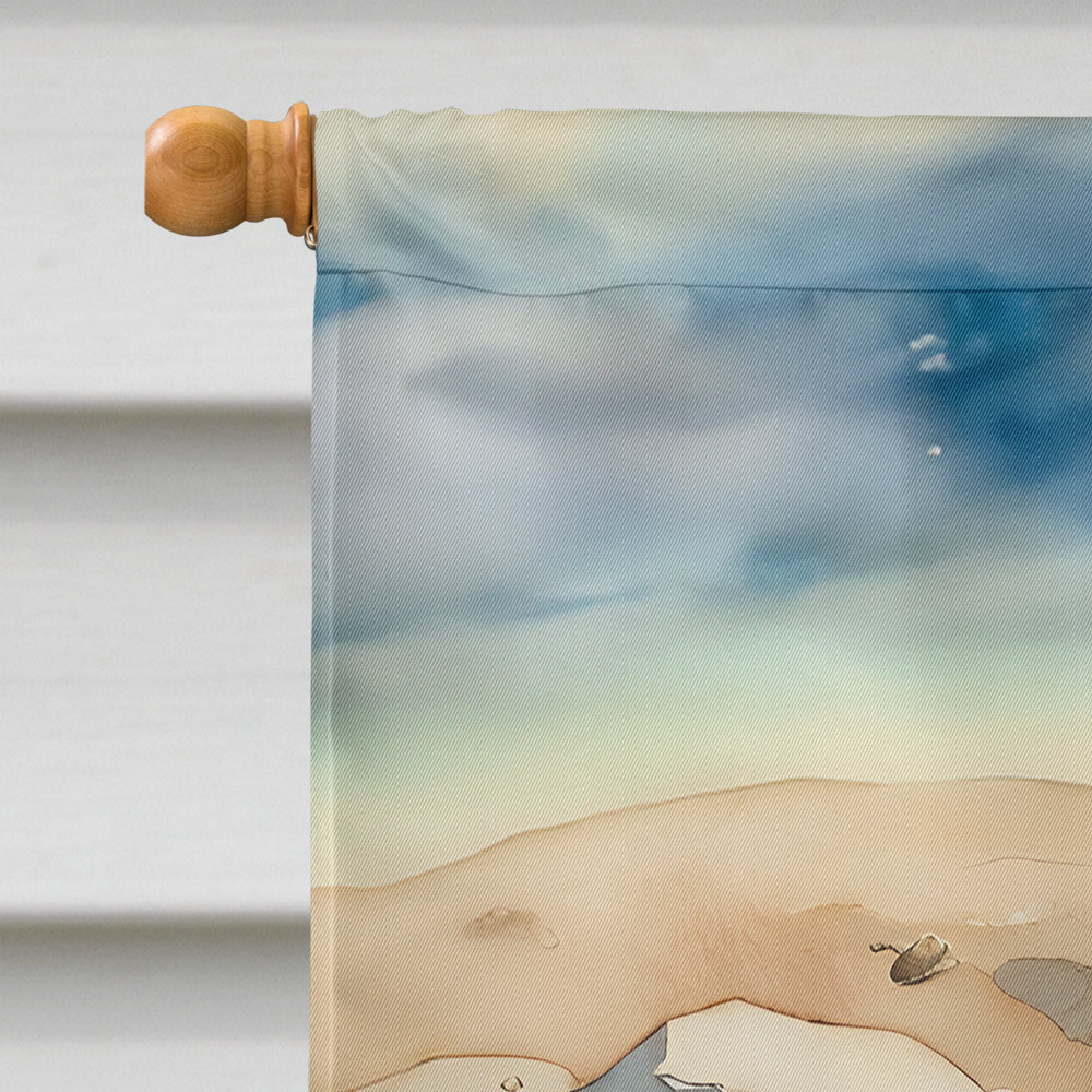 Sand Dollars House Flag-2