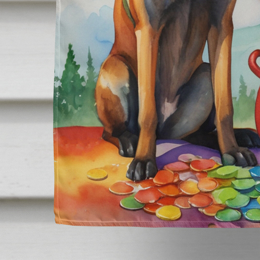 Belgian Malinois St Patrick's Day House Flag-3