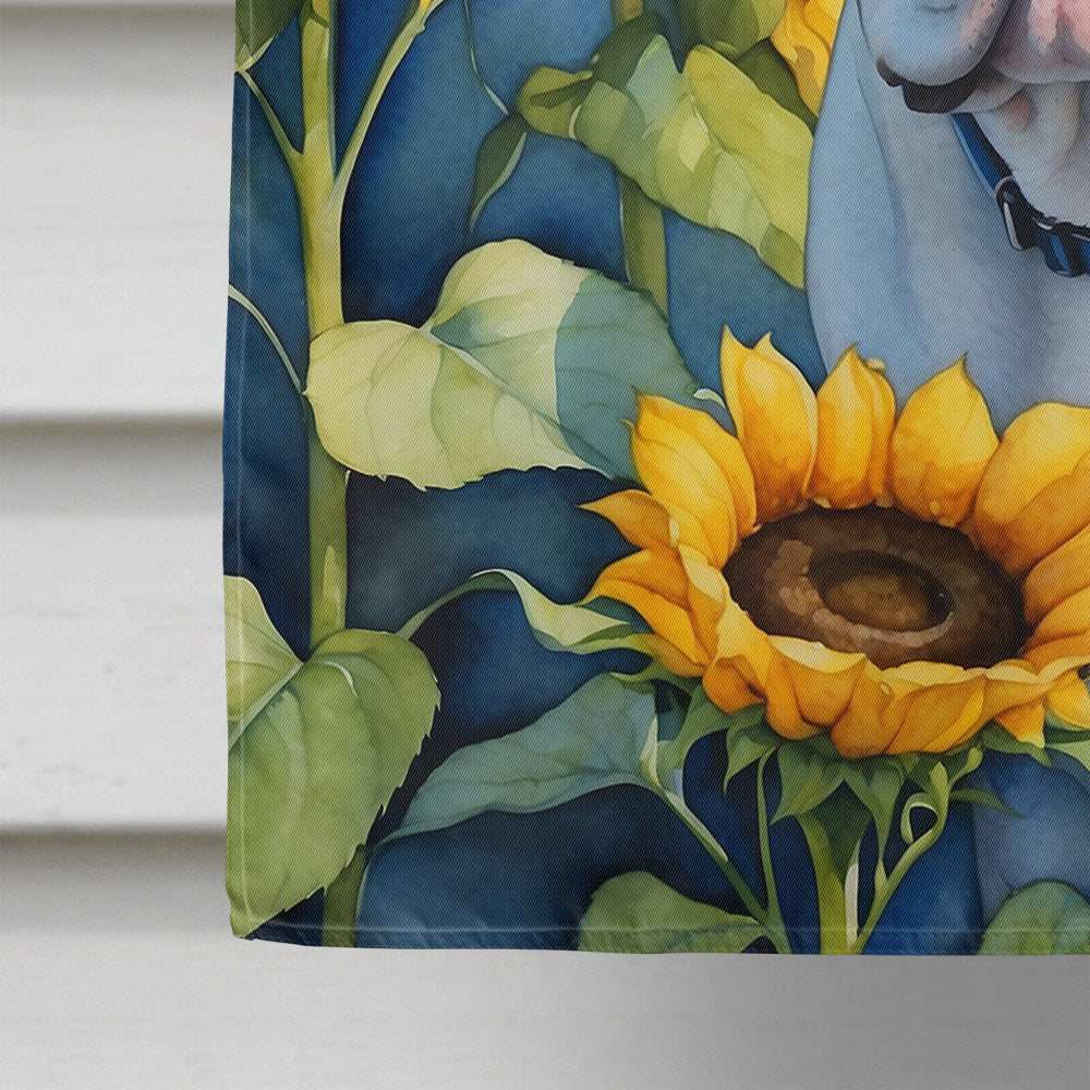 American Bulldog in Sunflowers House Flag-3