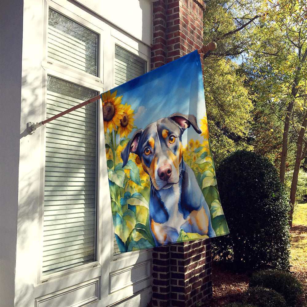 Catahoula in Sunflowers House Flag-1