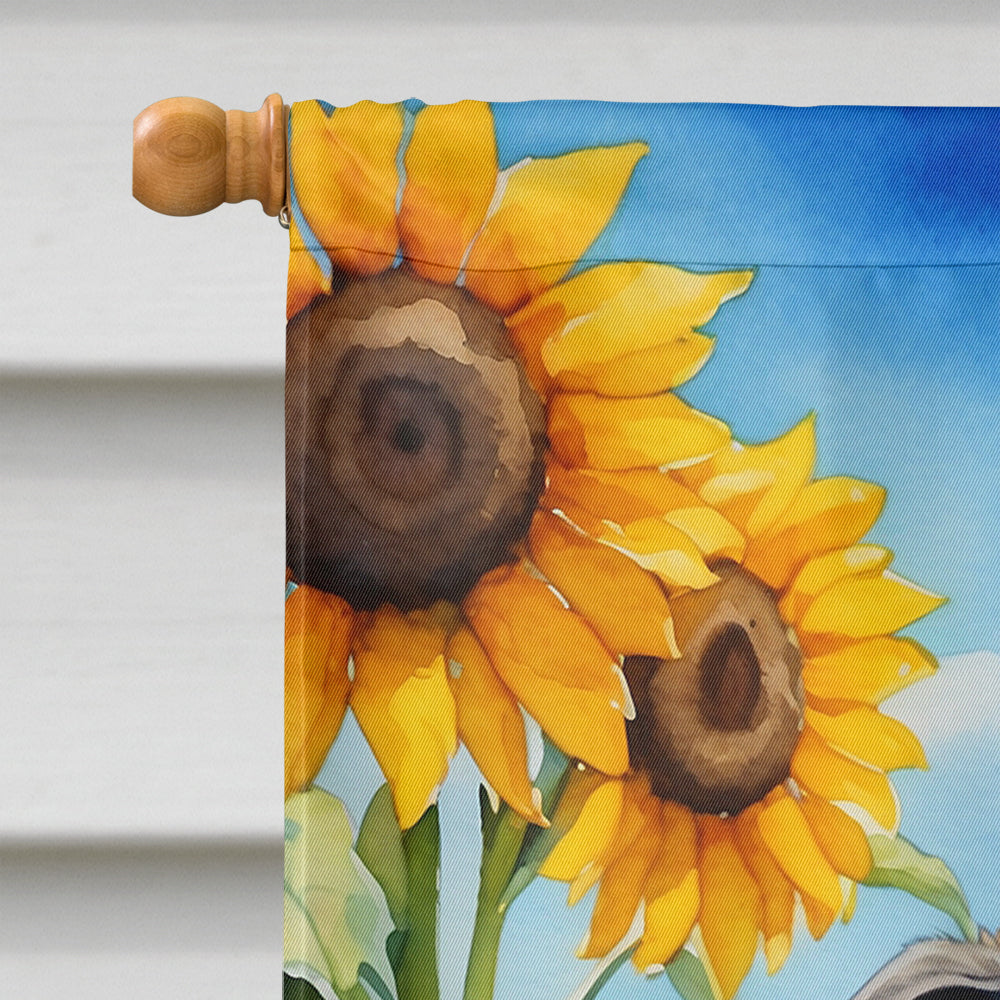 Catahoula in Sunflowers House Flag-2