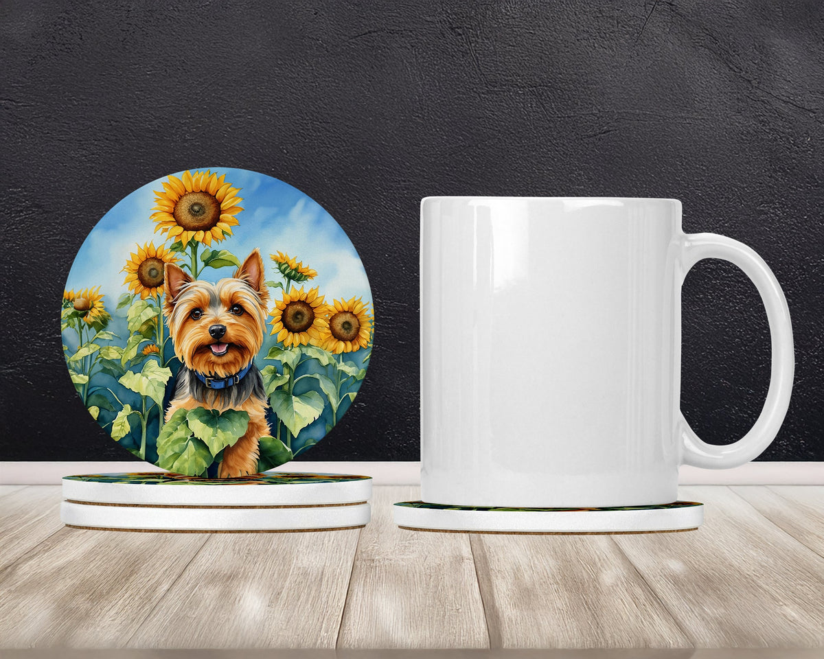 Silky Terrier in Sunflowers Large Sandstone Coasters Pack of 4-1
