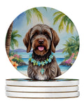 Wirehaired Pointing Griffon Luau Large Sandstone Coasters Pack of 4-0