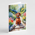 Dachshund Spring Path Greeting Cards Pack of 8-0