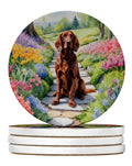 Irish Setter Spring Path Large Sandstone Coasters Pack of 4-0