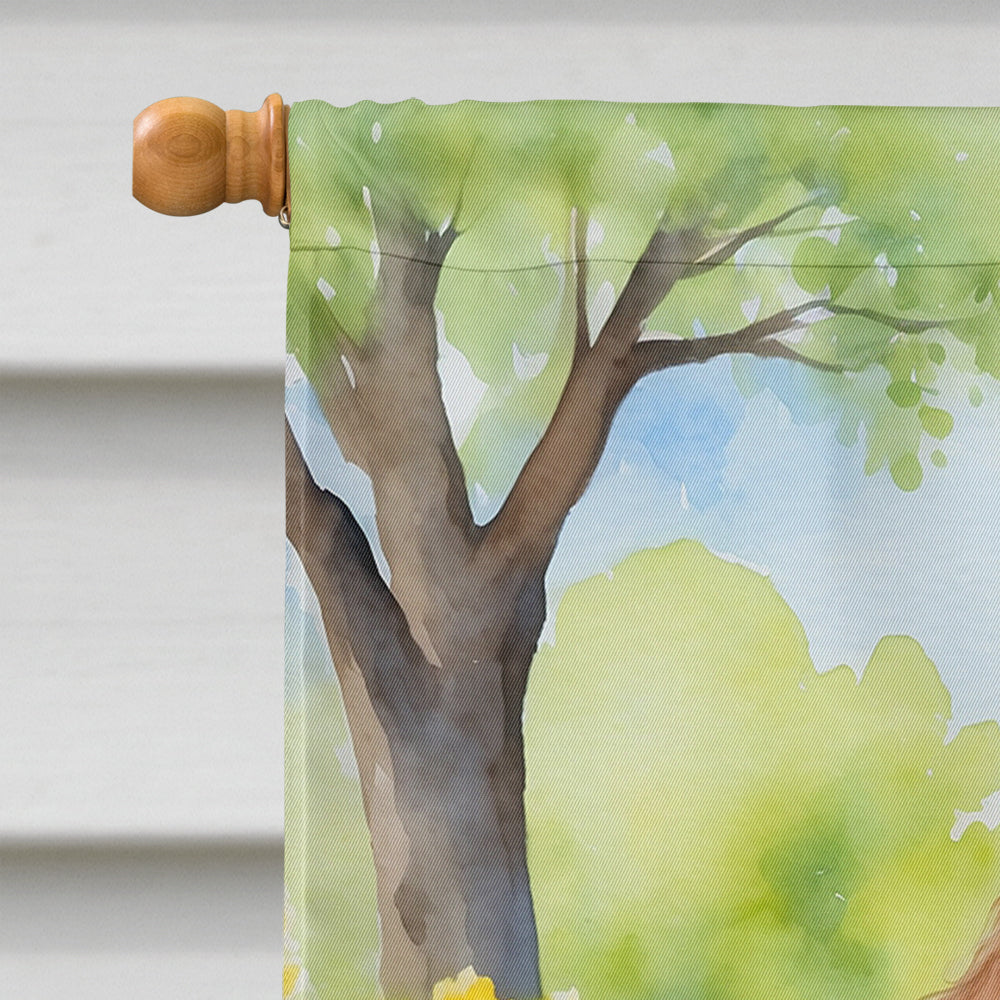 Chocolate Poodle Spring Path House Flag-2