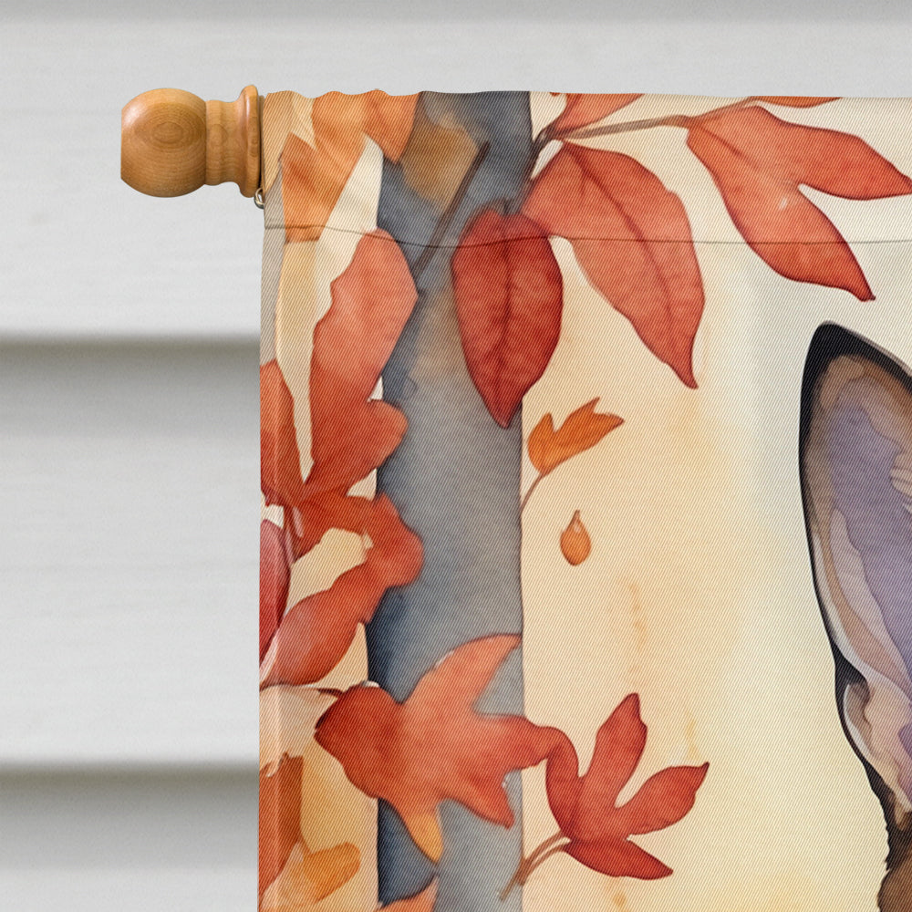 Abyssinian Cat in Fall Leaves House Flag-2