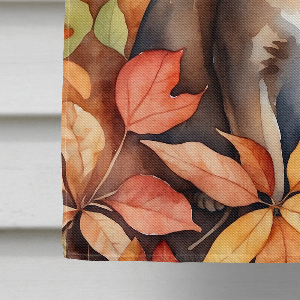 Abyssinian Cat in Fall Leaves House Flag-3