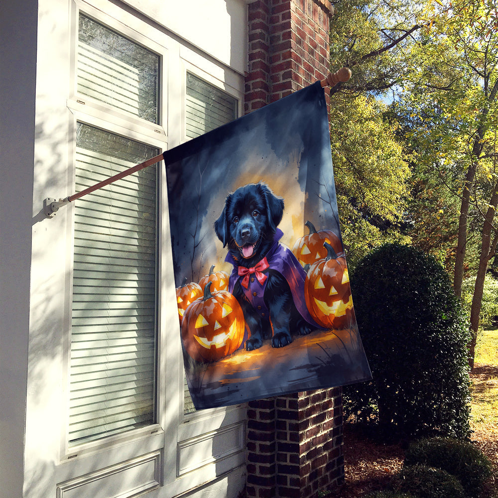 Black Newfoundland Puppy Halloween House Flag-1