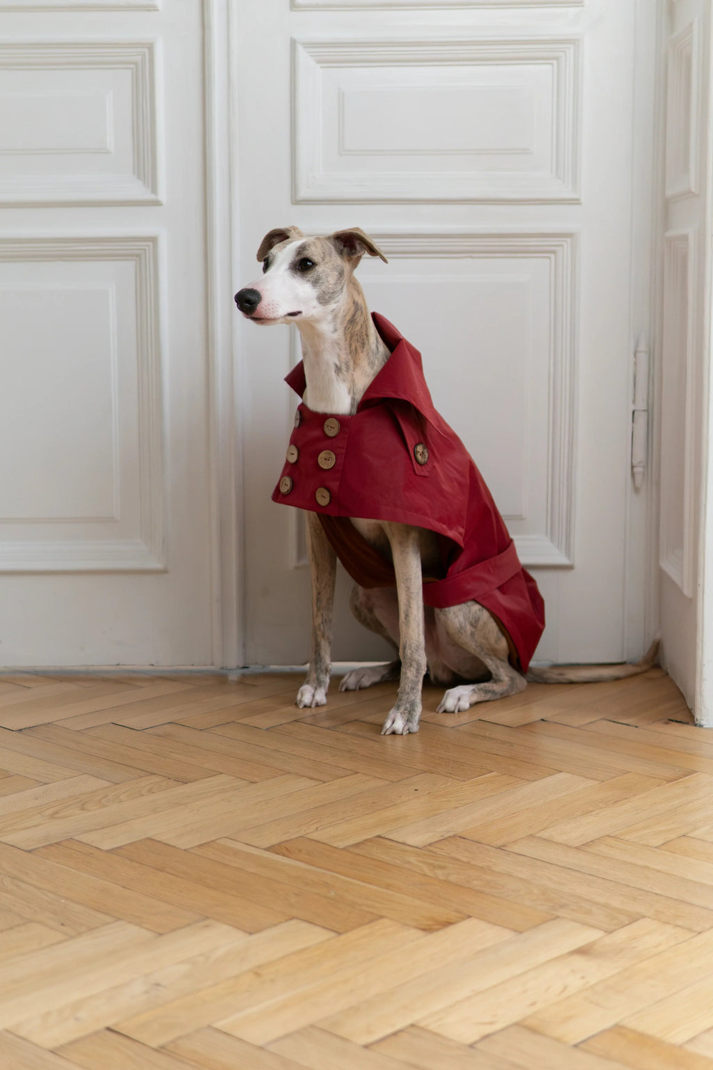 Water-repellent Dog Trench Coat - Burgundy Red-1