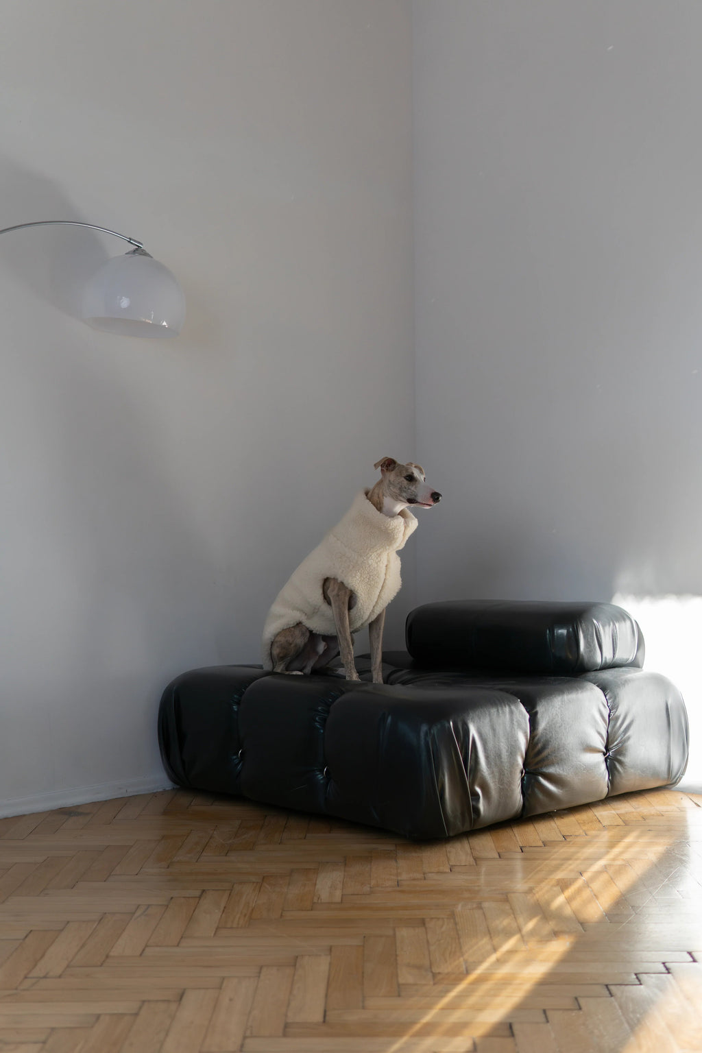 Woolen Dog Vest - Blue-2