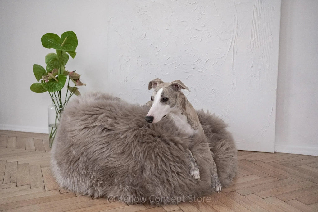 Oval Natural Sheepskin Pet Bed - Greige-2