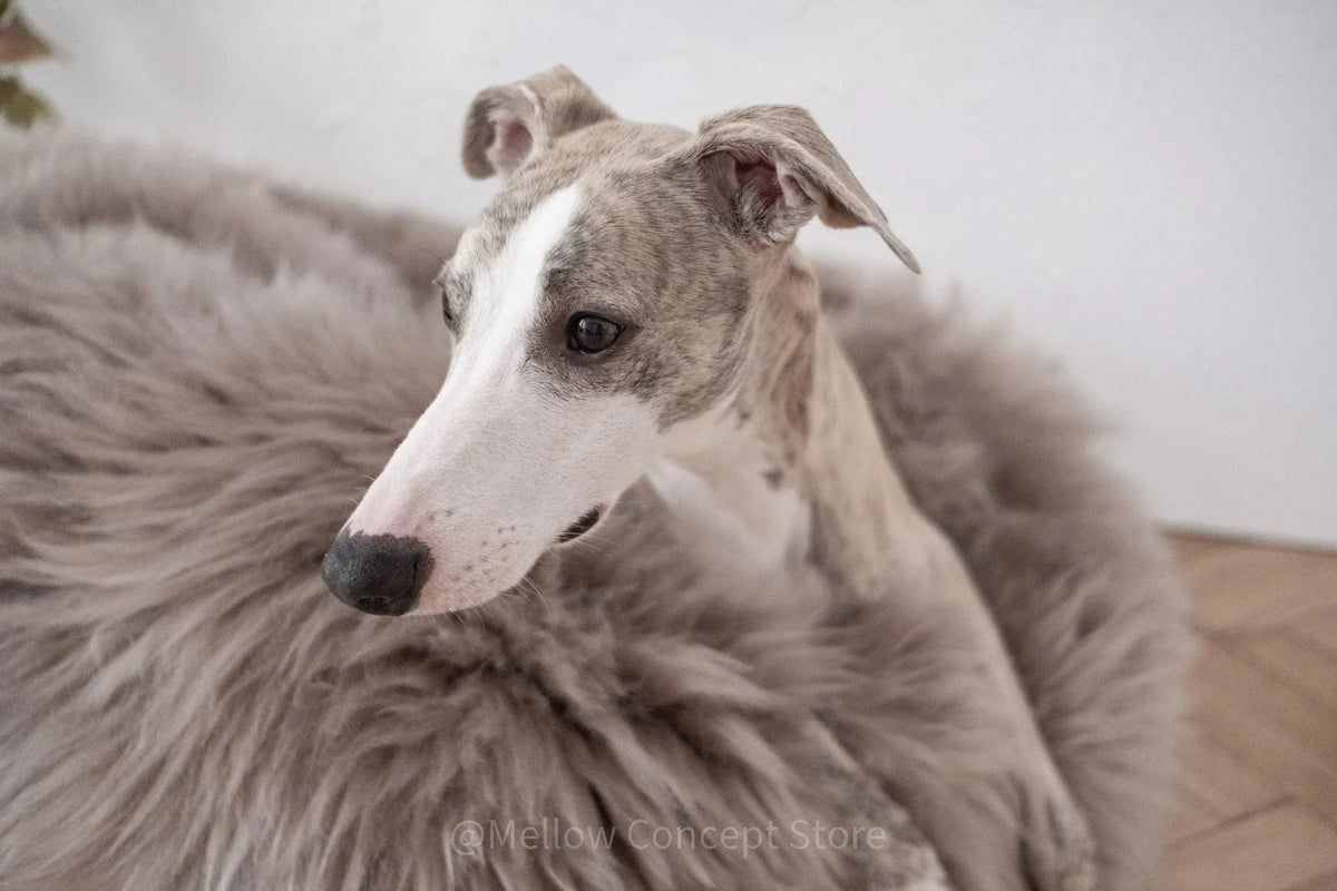 Oval Natural Sheepskin Pet Bed - Greige-3