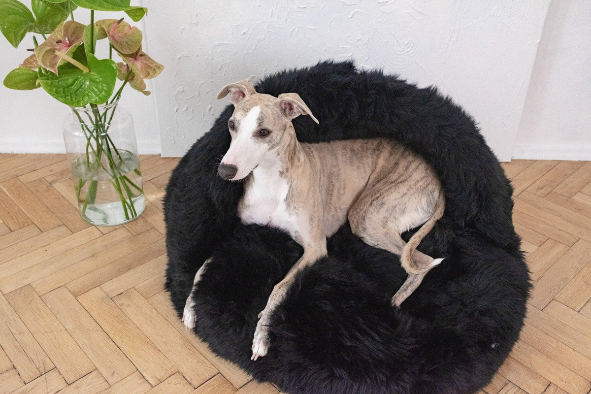 Natural Sheepskin Pet Cave - Black-1