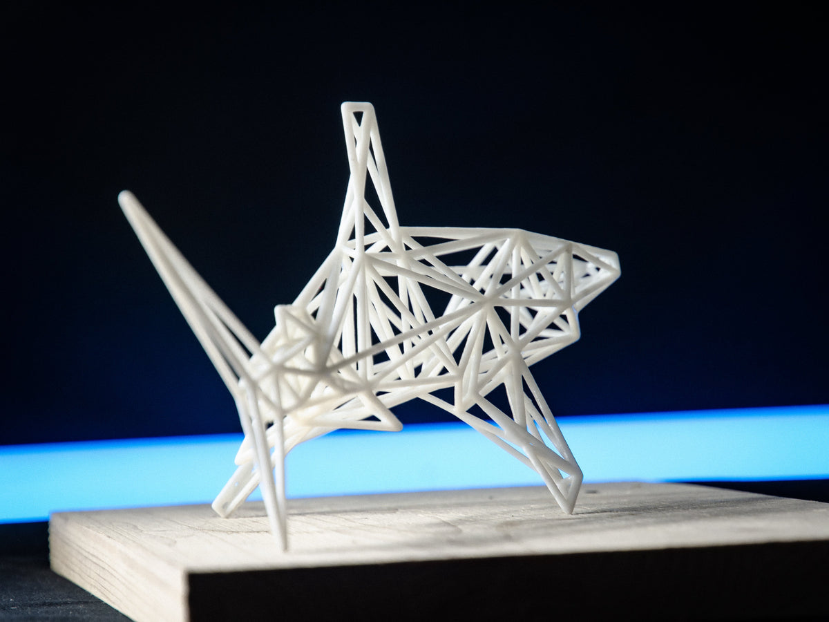White Shark-6