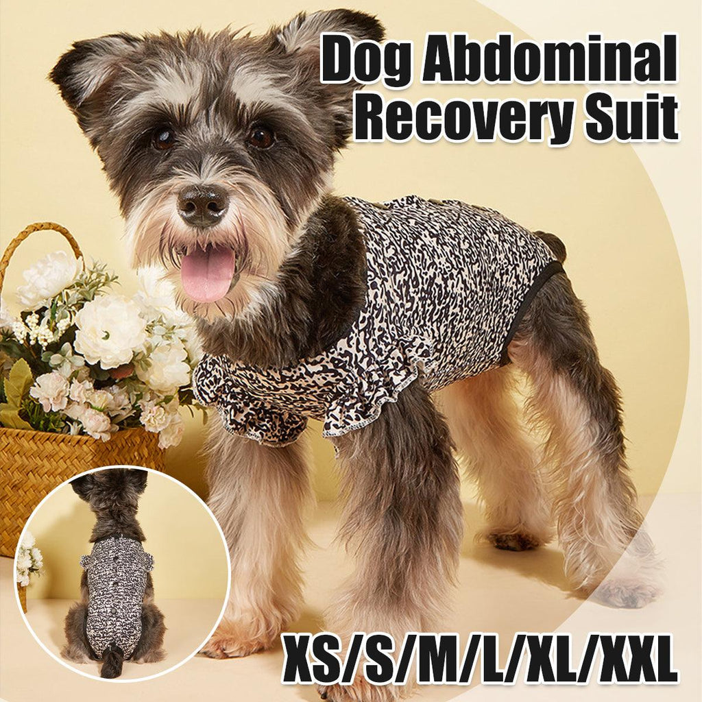 Dog neutering recovery suit in a printed breathable fabric for post-surgery healing and wound protection