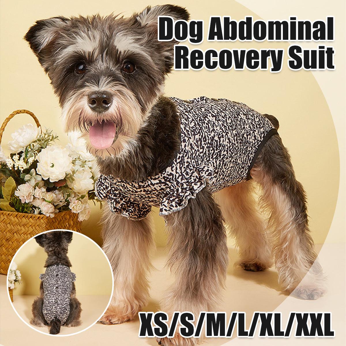 Dog neutering recovery suit in a printed breathable fabric for post-surgery healing and wound protection