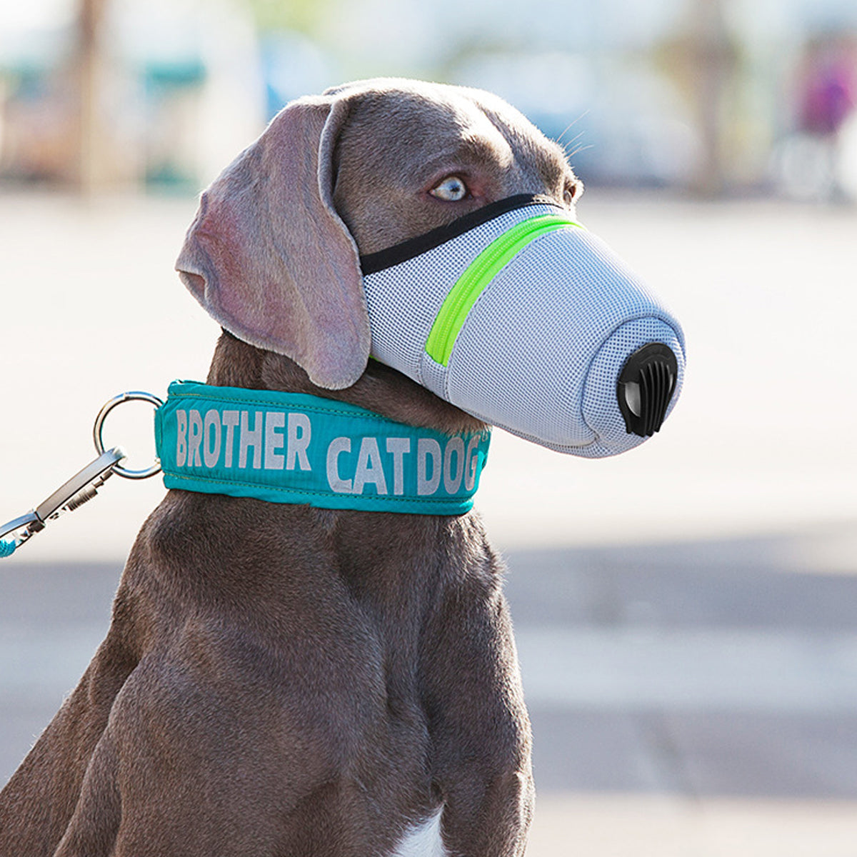 Grey and green breathable mesh dog muzzle with adjustable straps and reflective zipper design — view 5