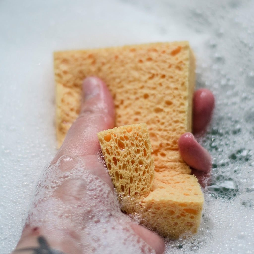 Compostable Cellulose Sponges - Pack of 2-2