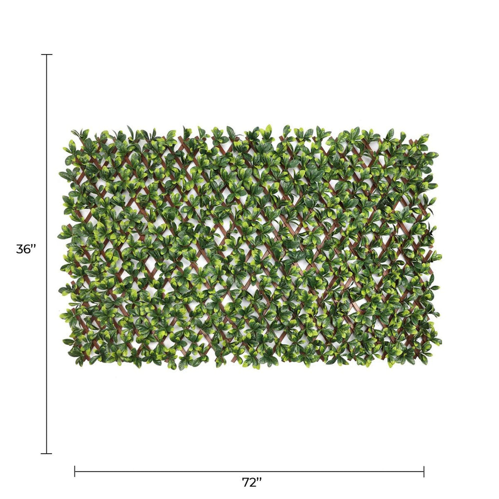 Ligustrum Ficus Expandable Artificial Trellis Privacy Screen – UV Resistant-1